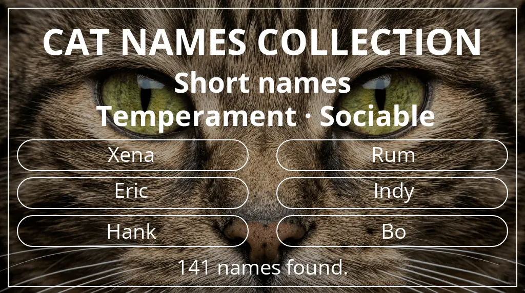 Feline names based on short (2–4) name length and sociable temperament