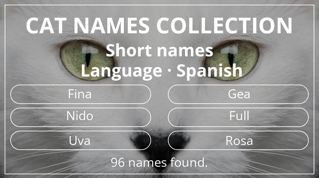 Names for cats inspired by short (2–4) name length and spanish language