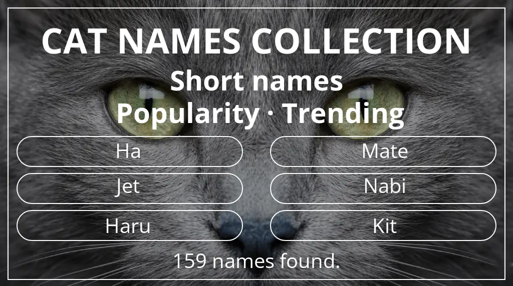 Feline names related to short (2–4) name length and trending popularity