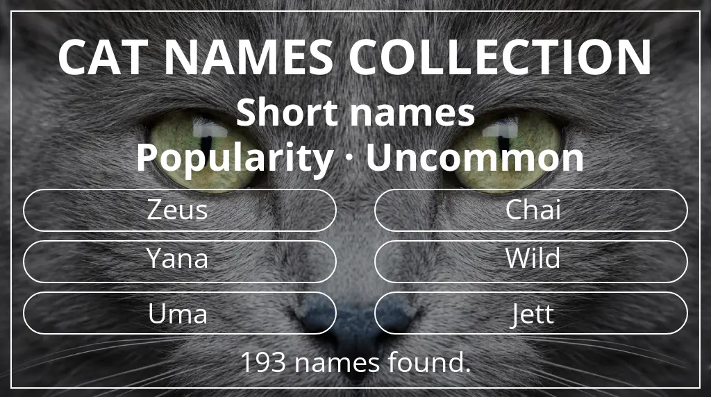 Cat names related to short (2–4) name length and uncommon popularity
