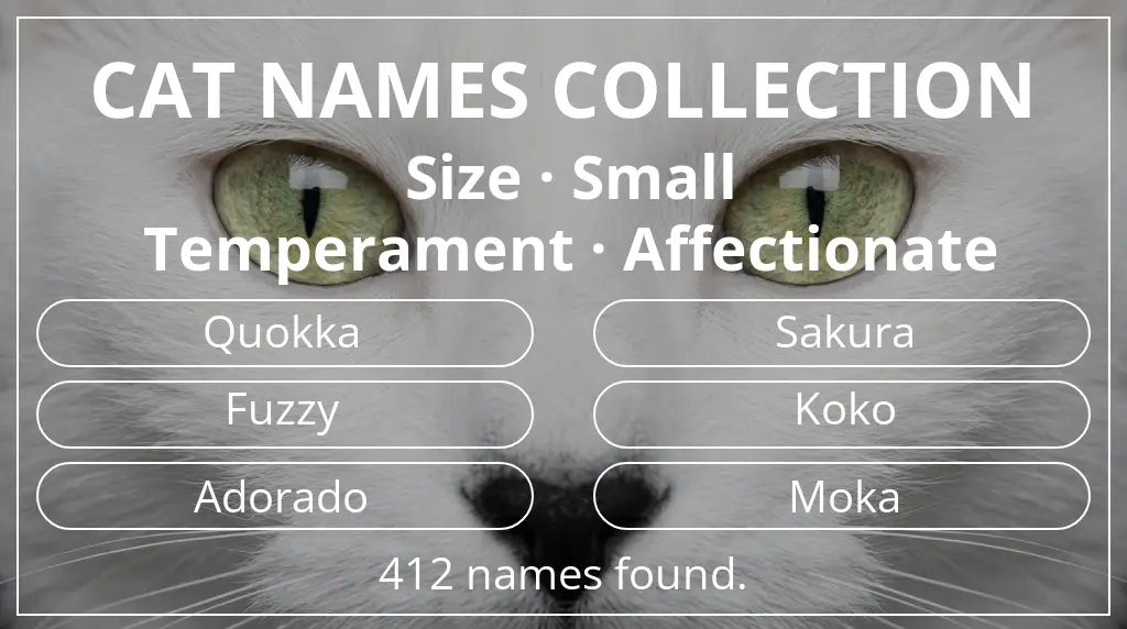 Feline names inspired by small size and affectionate temperament
