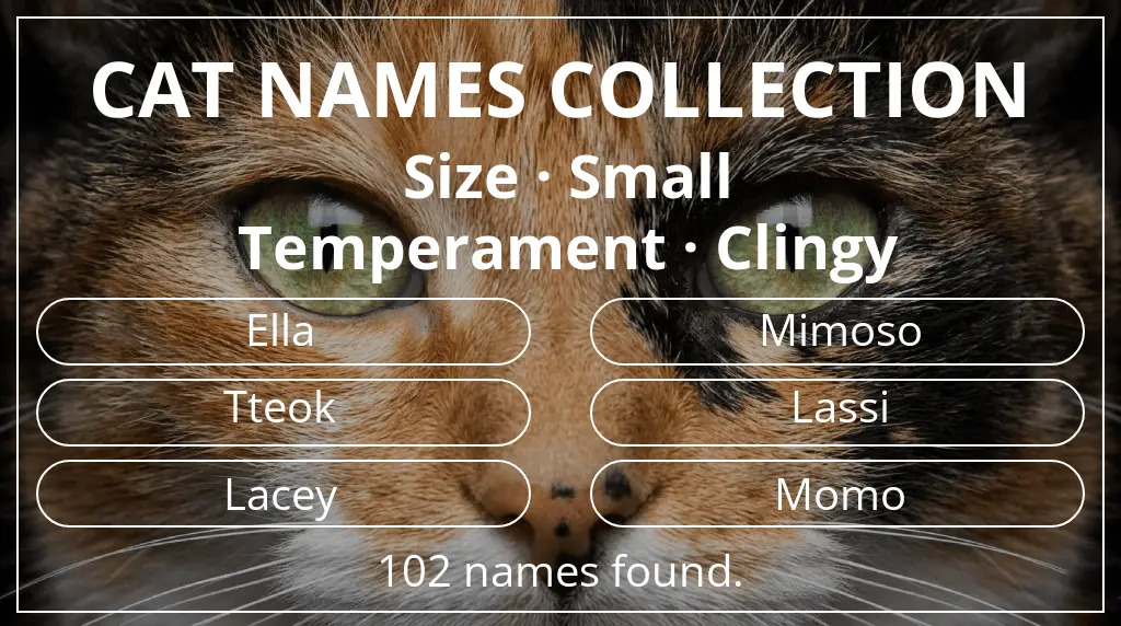 Names for cats based on small size and clingy temperament