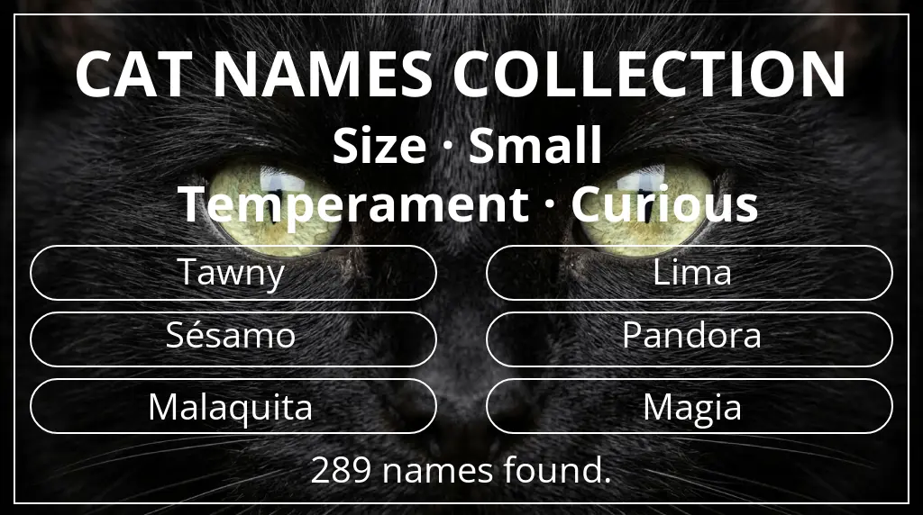 Cat names based on small size and curious temperament