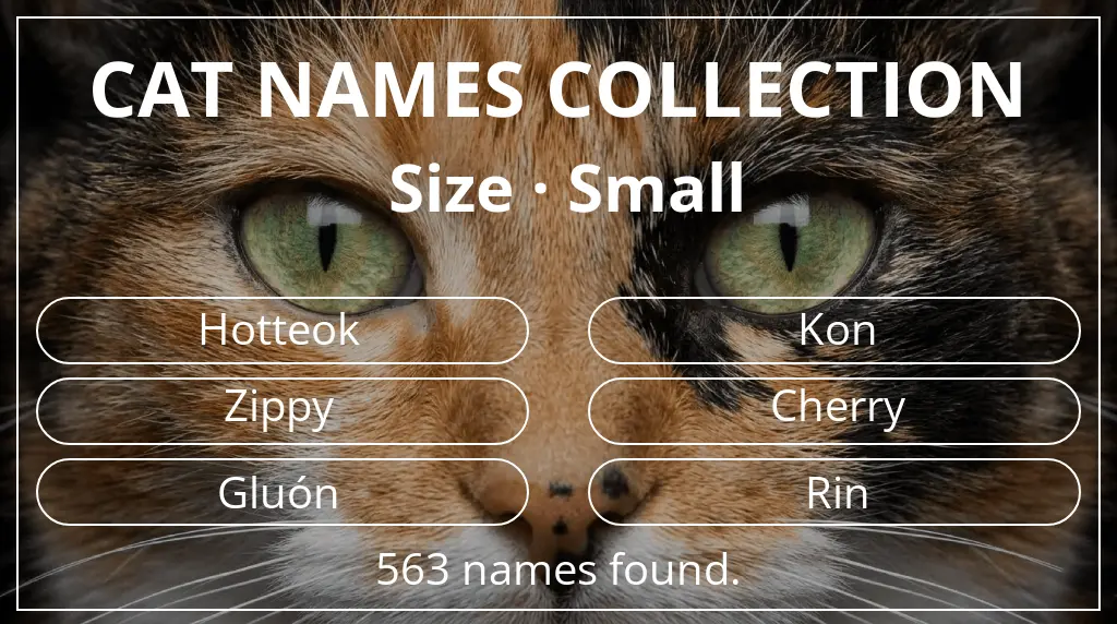Cat names based on small size