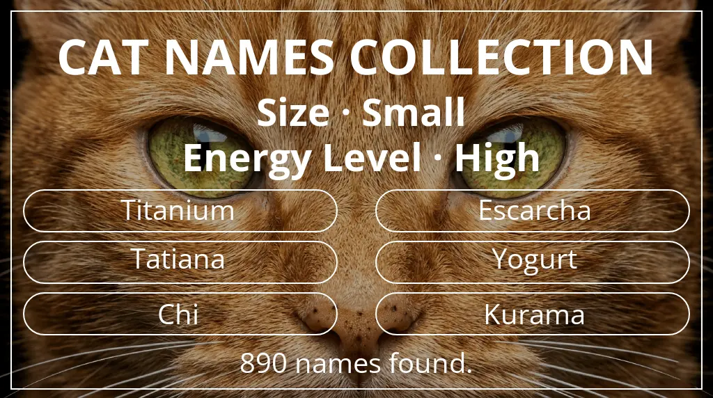 Feline names based on small size and high energy level