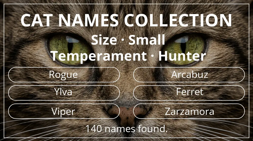 Names for cats related to small size and hunter temperament