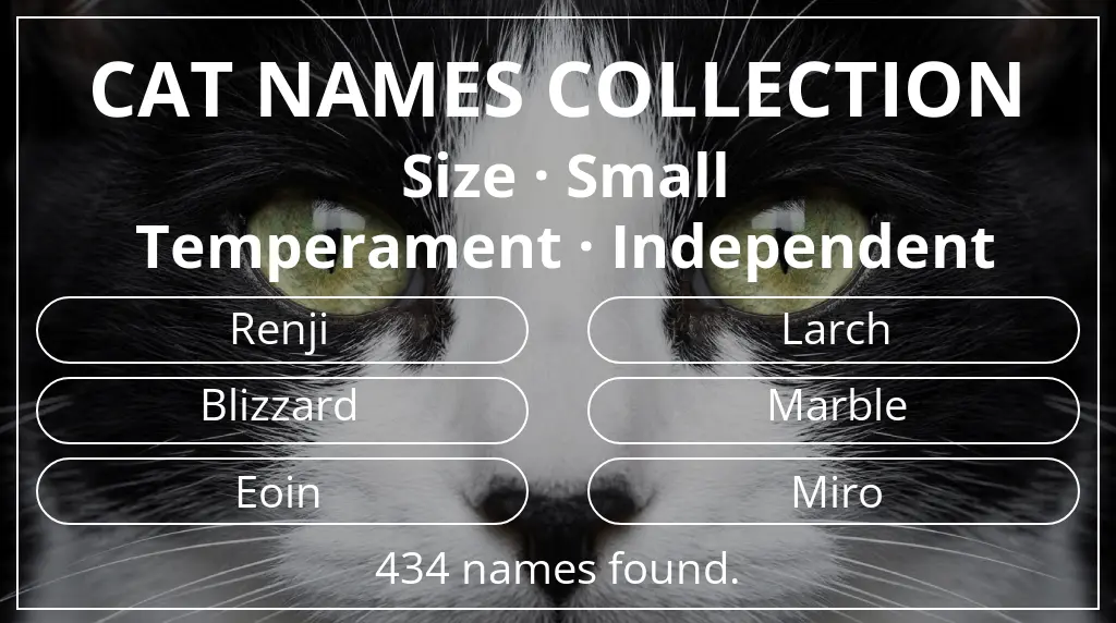 Feline names related to small size and independent temperament