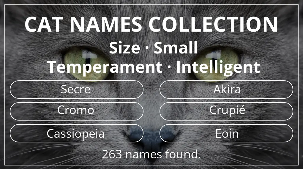Cat names based on small size and intelligent temperament