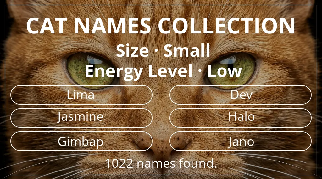 Feline names inspired by small size and low energy level