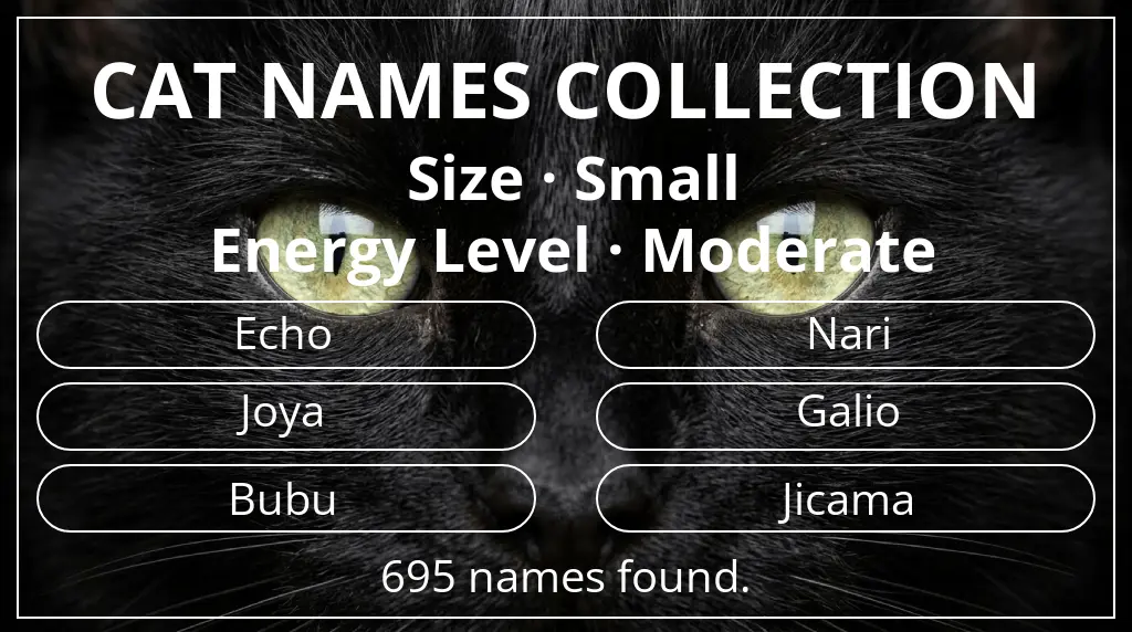 Feline names related to small size and moderate energy level