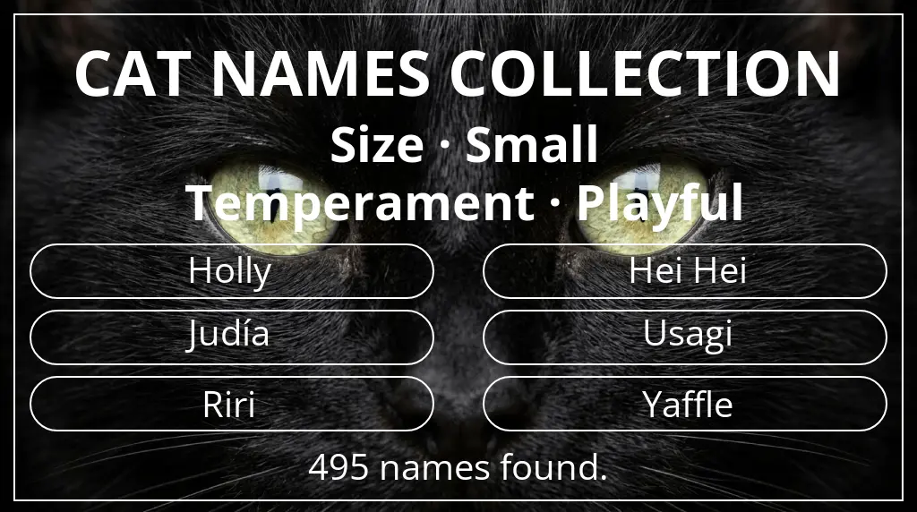 Feline names related to small size and playful temperament