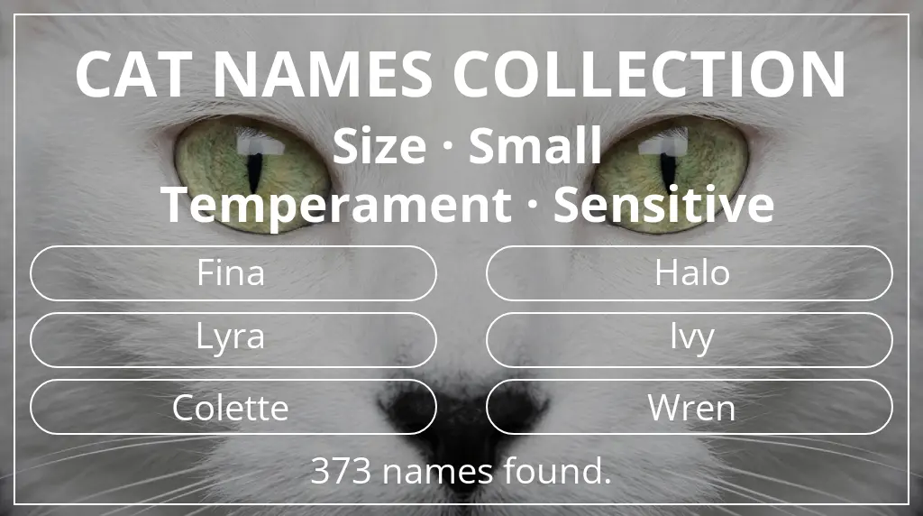 Feline names inspired by small size and sensitive temperament