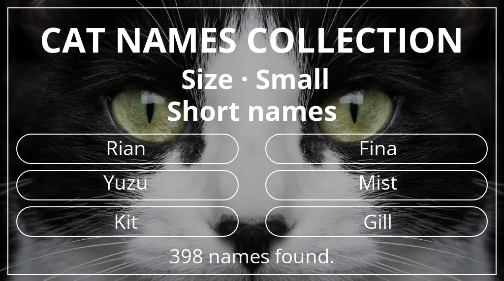 Cat names related to small size and short (2–4) name length