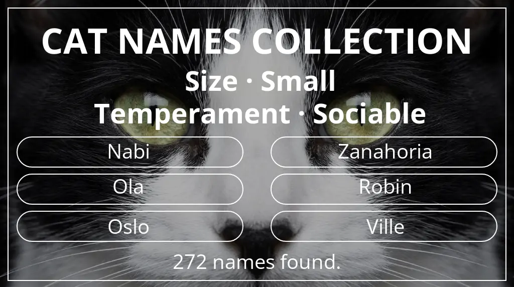 Cat names inspired by small size and sociable temperament