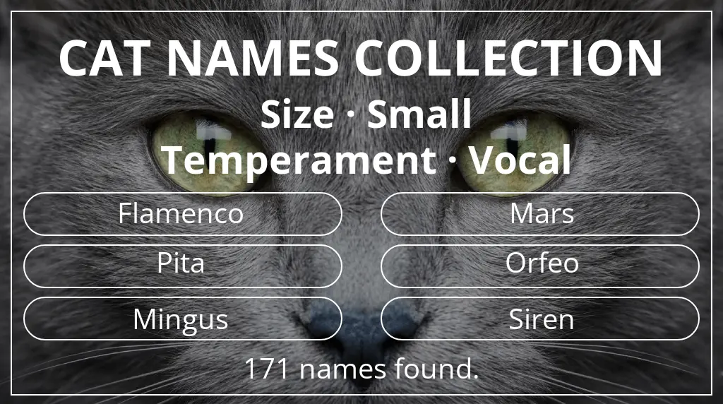 Feline names inspired by small size and vocal temperament