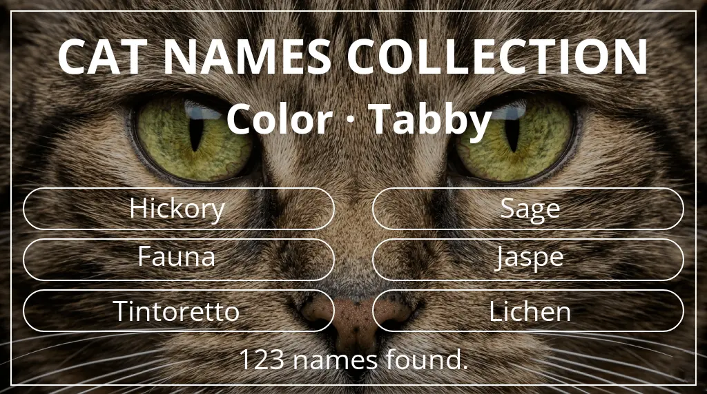 Feline names inspired by tabby color