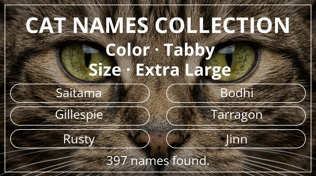 Feline names based on tabby color and extra large size