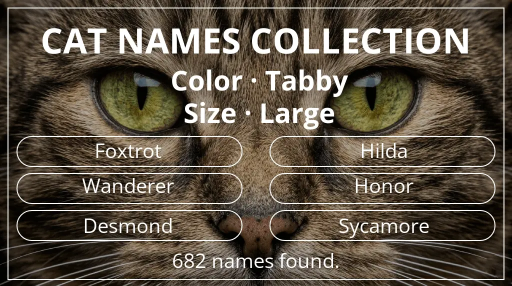 Names for cats related to tabby color and large size