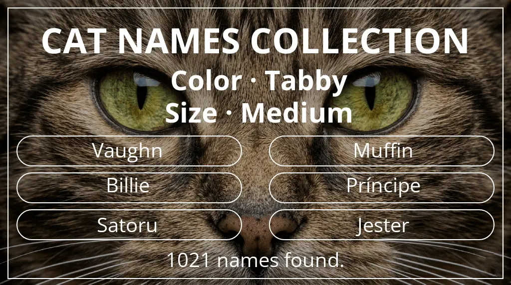 Feline names related to tabby color and medium size