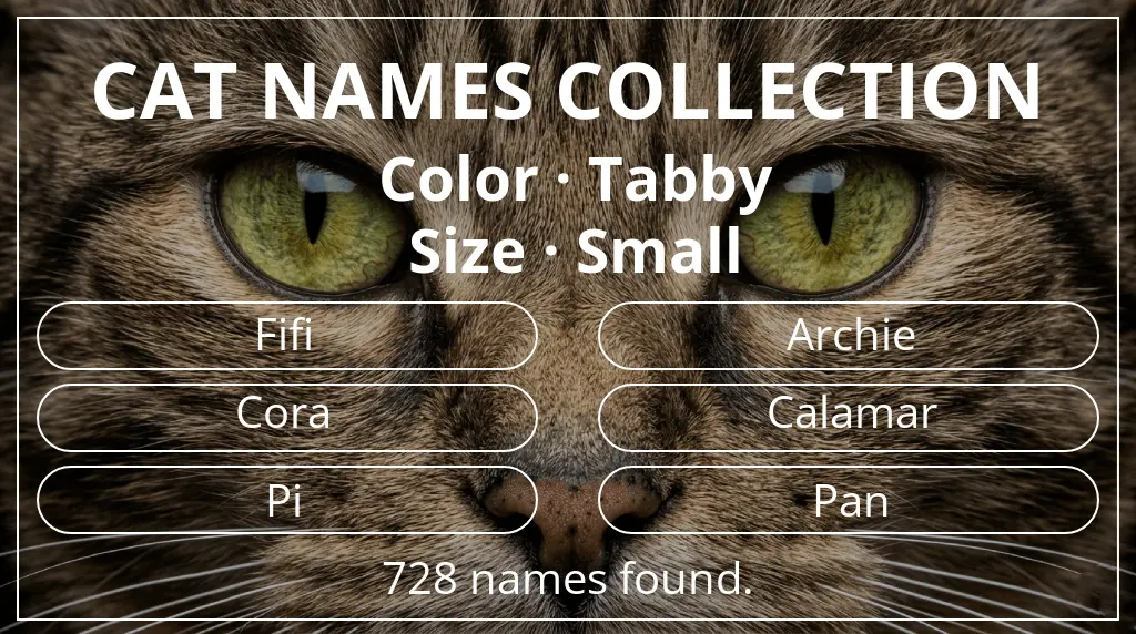 Names for cats inspired by tabby color and small size