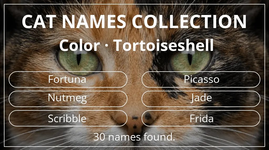Feline names based on tortoiseshell color