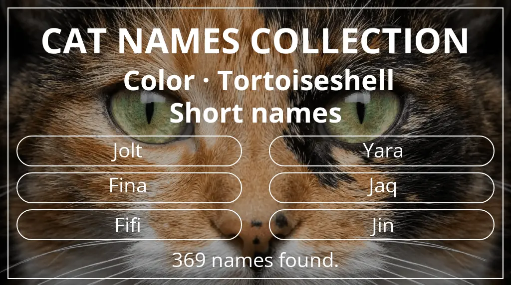 Feline names related to tortoiseshell color and short (2–4) name length