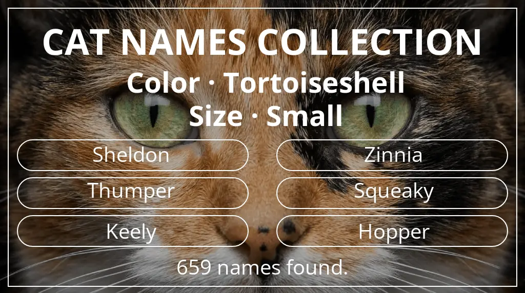 Feline names inspired by tortoiseshell color and small size