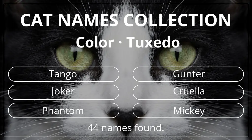 Names for cats inspired by tuxedo color