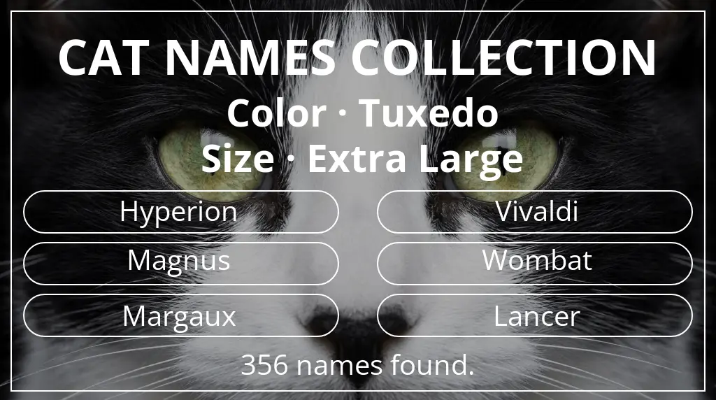 Feline names inspired by tuxedo color and extra large size