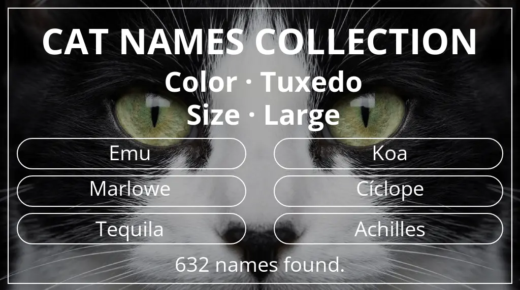 Feline names inspired by tuxedo color and large size