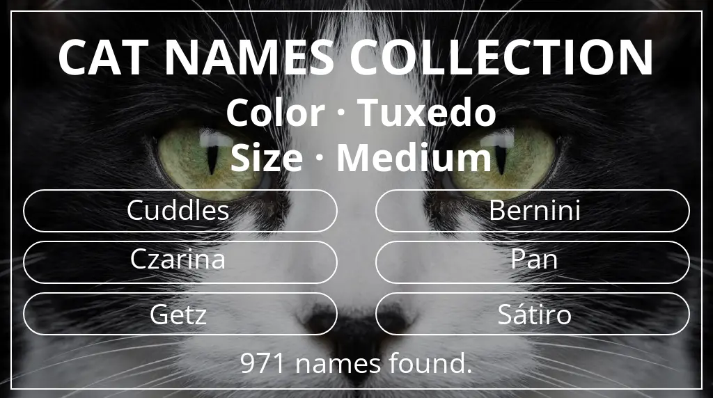 Names for cats inspired by tuxedo color and medium size