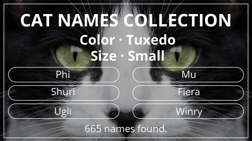 Feline names related to tuxedo color and small size