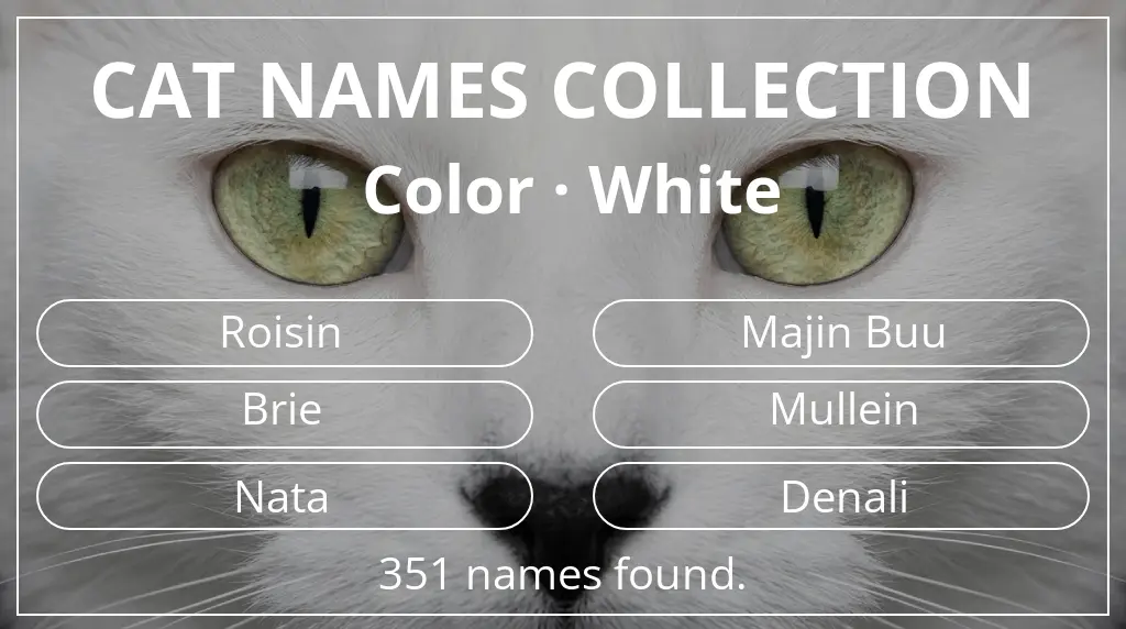 Feline names inspired by white color