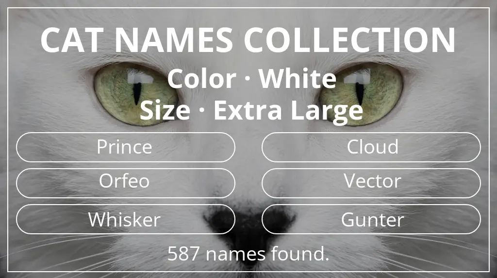 Cat names related to white color and extra large size