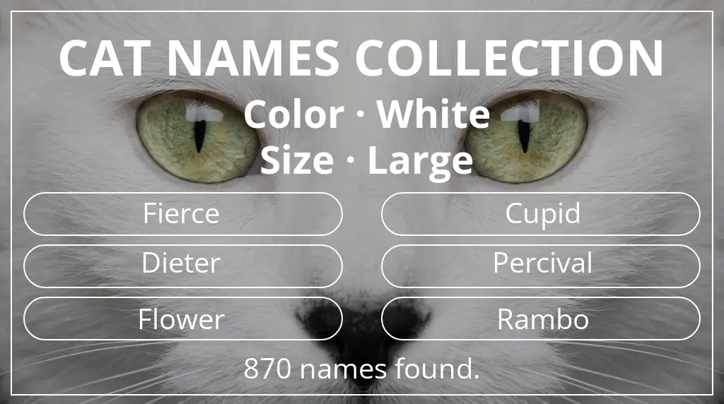 Names for cats inspired by white color and large size