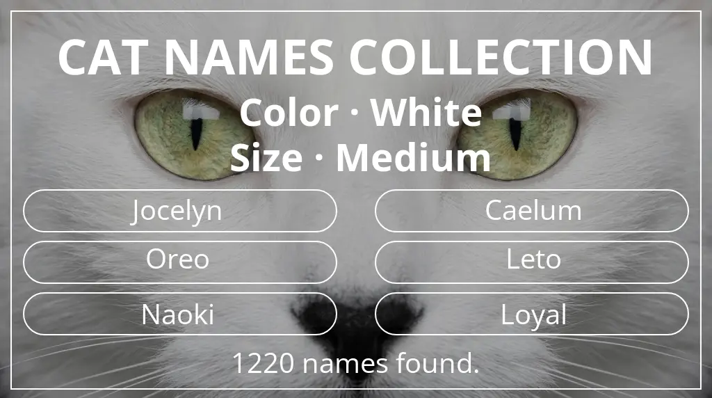 Cat names based on white color and medium size