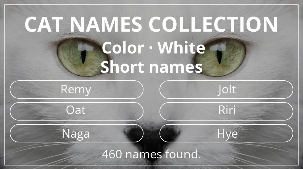 Names for cats related to white color and short (2–4) name length