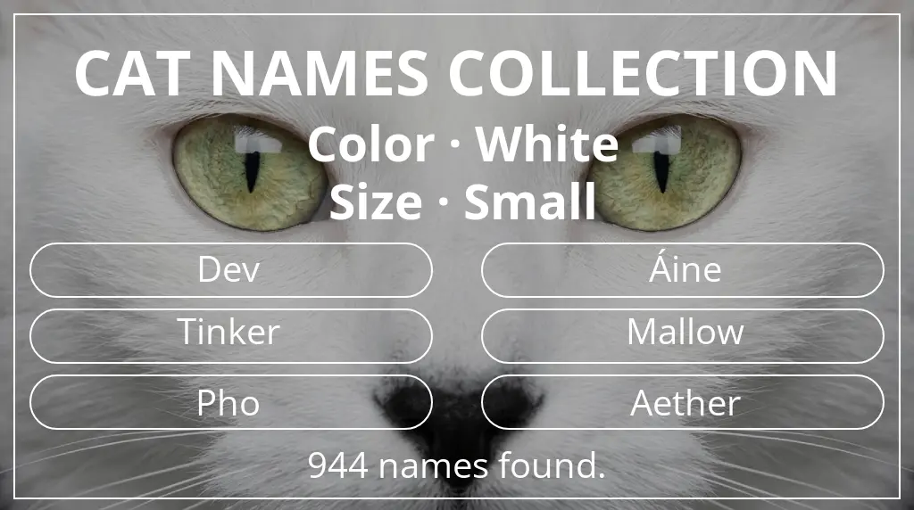 Names for cats based on white color and small size