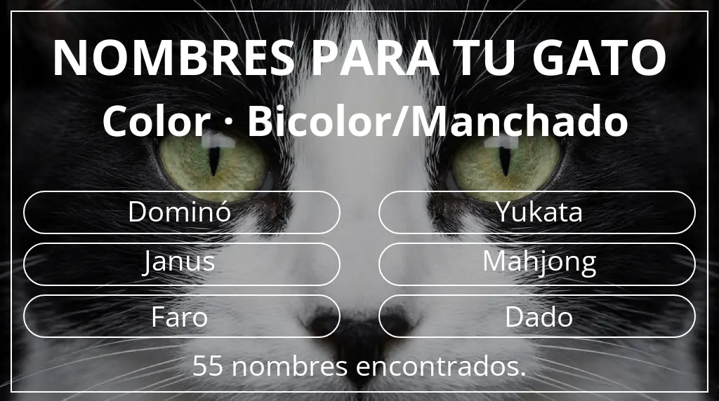 Nombres para gatos basados en color bicolor/manchado