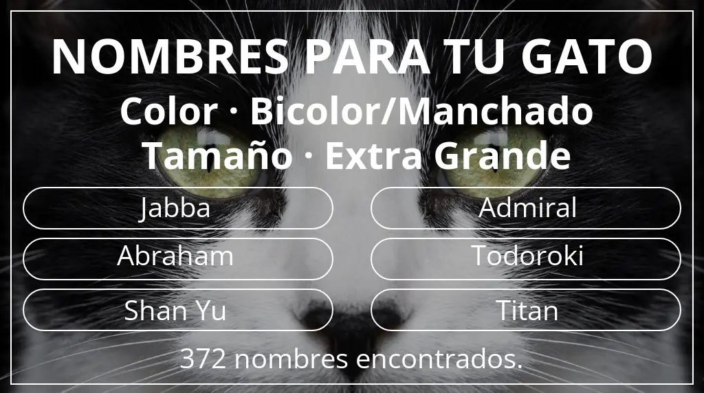 Nombres felinos basados en color bicolor/manchado y tamaño extra grande