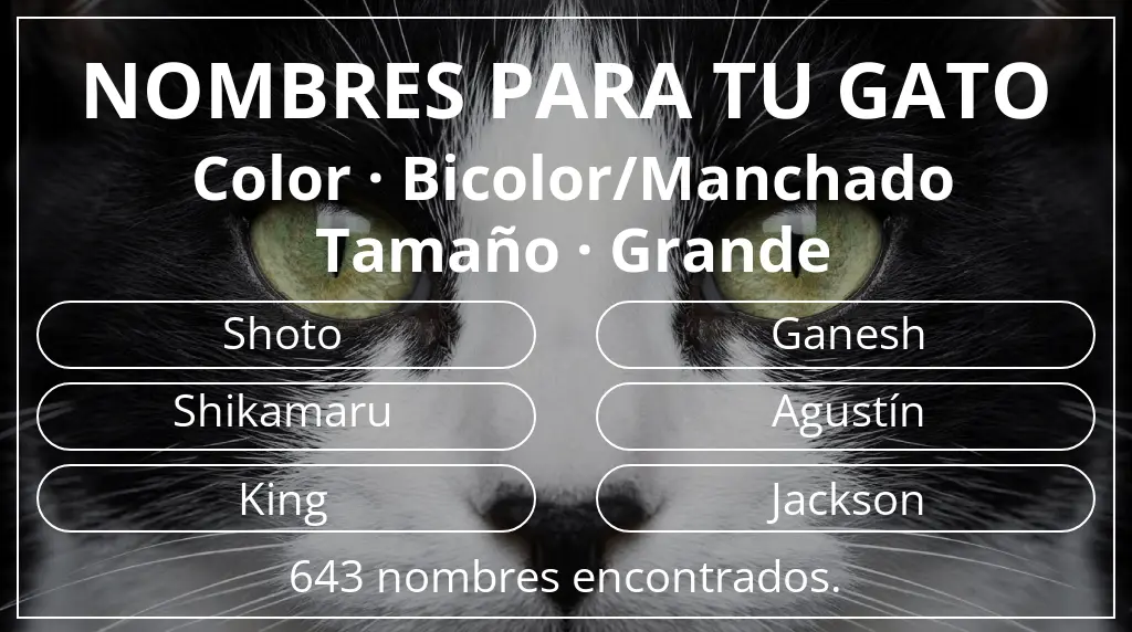 Nombres felinos basados en color bicolor/manchado y tamaño grande