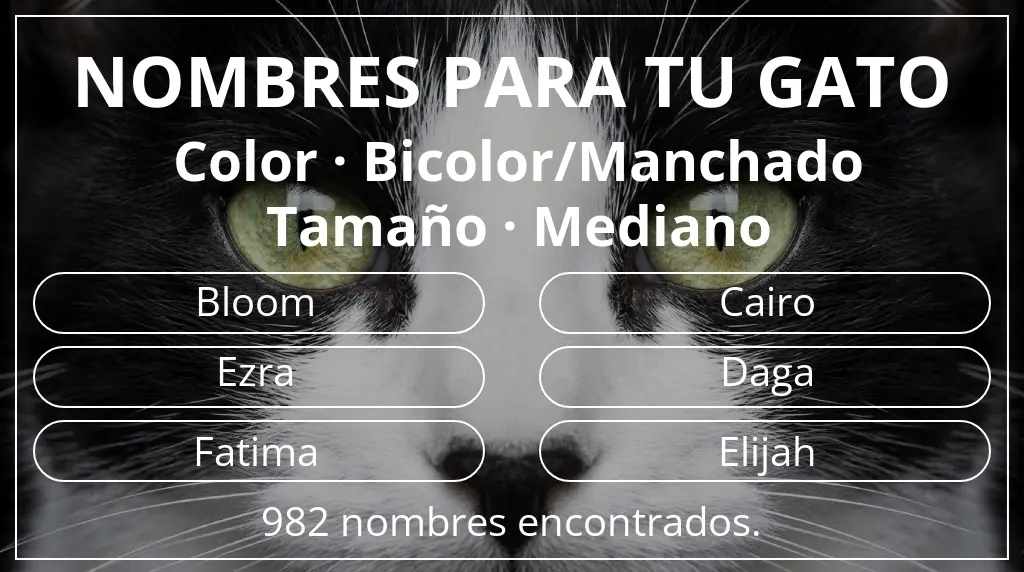 Nombres para gatos relacionados con color bicolor/manchado y tamaño mediano