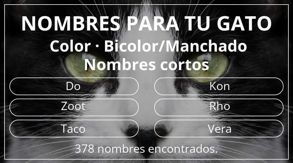 Nombres felinos inspirados en color bicolor/manchado y longitud del nombre corto (2-4)