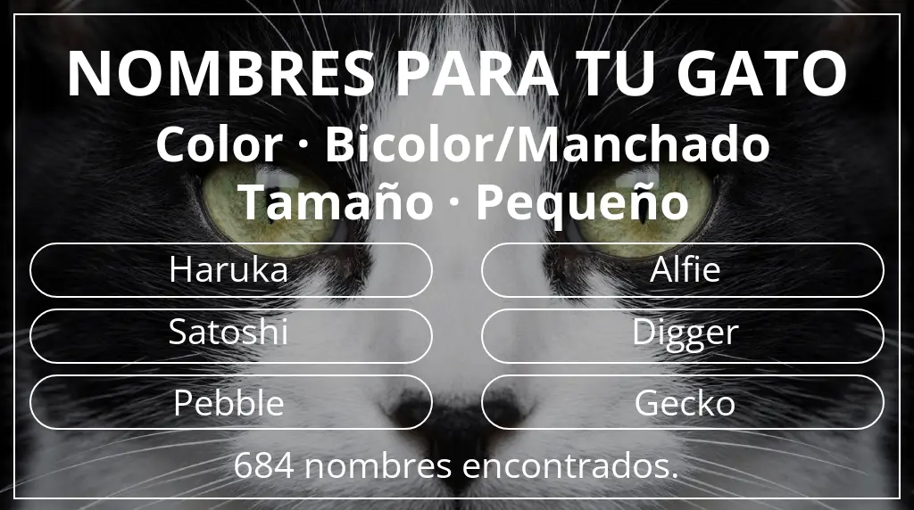 Nombres para gatos basados en color bicolor/manchado y tamaño pequeño