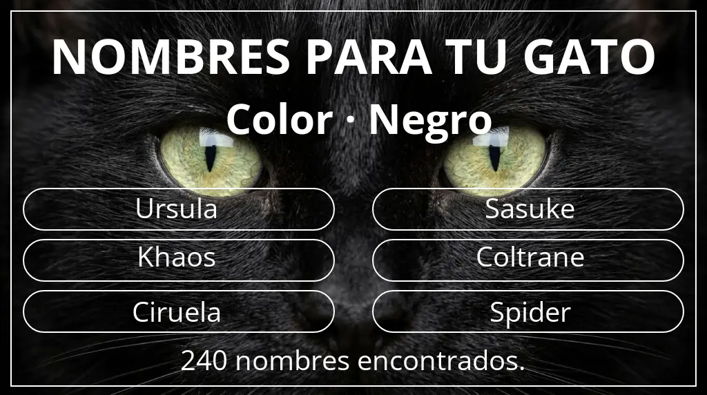 Nombres para gatos basados en color negro