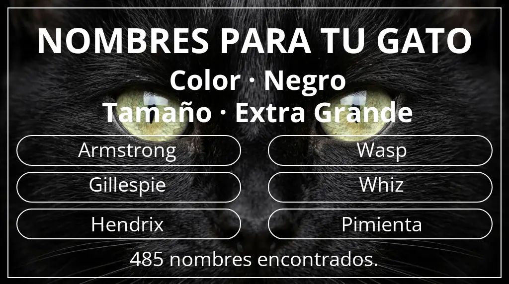 Nombres para gatos basados en color negro y tamaño extra grande