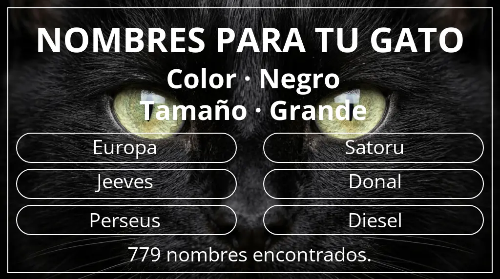 Nombres para gatos basados en color negro y tamaño grande