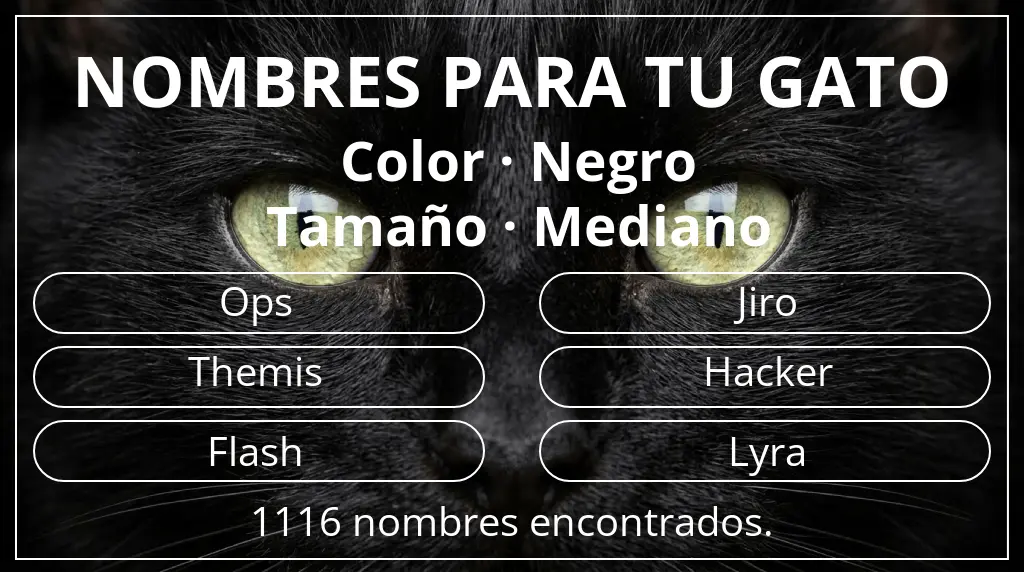 Nombres para gatos relacionados con color negro y tamaño mediano