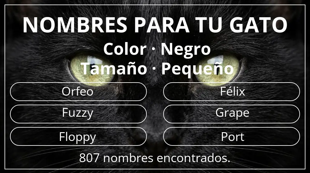 Nombres felinos relacionados con color negro y tamaño pequeño
