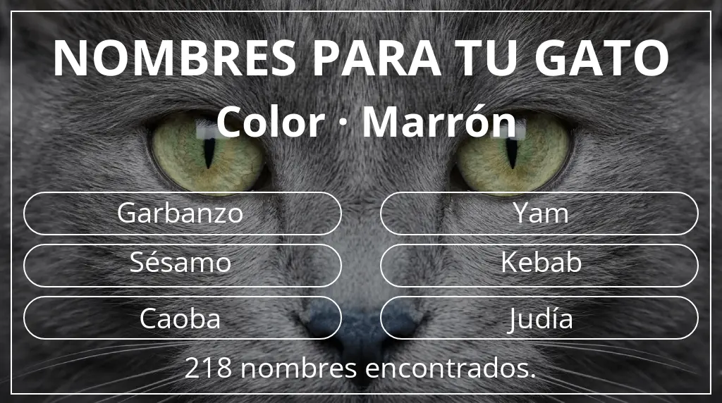Nombres para gatos inspirados en color marrón